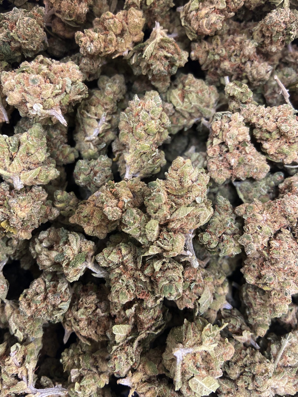 Vente de CBD de qualité en tisane ou infusion Lège-Cap-Ferret (33950)