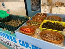 vente d'Huîtres Arès Duvignacq et Frères