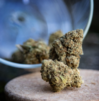 Nos prestations sur le secteur de Andernos (33510)