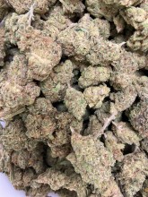 Nos prestations sur le secteur de Lège-Cap-Ferret (33950)