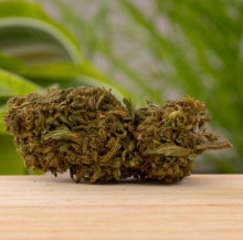 Nos prestations sur le secteur de Andernos (33510)