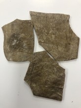 Nos prestations sur le secteur de Arès (33740) sur la Bassin d'Arcachon