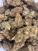 Nos prestations sur le secteur de Andernos (33510)