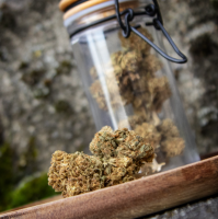 Nos prestations sur le secteur de Lège-Cap-Ferret (33950)